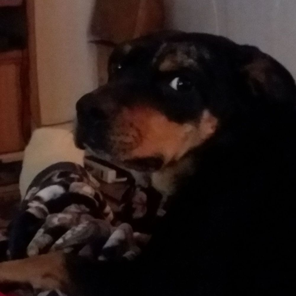 Meet your Posher, Mike